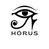 Hórus Consultoria Digital logo - Similar company to Horus It (Fenix It)