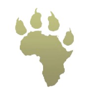 Africa Media logo - Similar company to Sonin & Genis