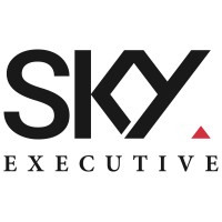 Sky Executive logo - Similar company to Koreahr