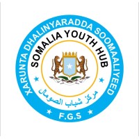 Somali Youth Hub logo - Similar company to Necsom Technical Institute (Nti)
