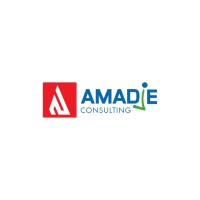 AMADJE CONSULTING logo - Similar company to Future Concept