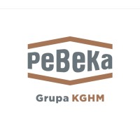 Przedsiębiorstwo Budowy Kopalń PeBeKa S.A. logo - Similar company to Poltegor-Instytut