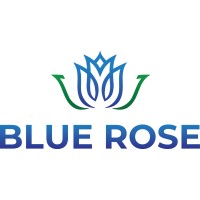 Blue Rose Consulting Group, Inc. logo - Similar company to Frisco First Baptist Church