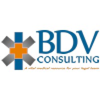 Bdv Consulting Llc