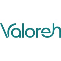 Valoreh logo - Similar company to Ark Technology