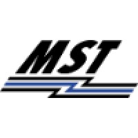 Media And Telematic Services