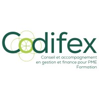 CODIFEX - Direction Financière Externalisée – Conseil, Accompagnement et Formation en Gestion logo - Similar company to L'Ouverture