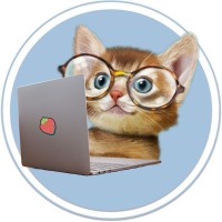Learn It Bro logo - Similar company to Pc Learn