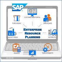 Corsi SAP logo - Similar company to Corsi & Partners