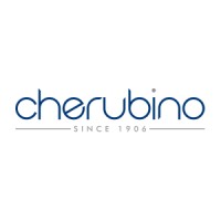 Cherubino logo - Similar company to Evolve Ltd