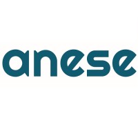 ANESE logo - Similar company to Dekkha Green