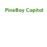 PineBay Capital logo - Similar company to Tanik Cpm Gmbh
