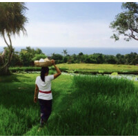 Villa Bali Breeze Lovina logo - Similar company to Bali Villas