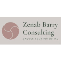 Zenab Barry Consulting logo - Similar company to Bk System Group