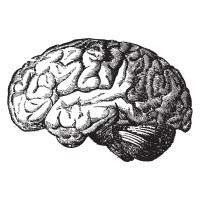 Mental Health Keto logo - Similar company to Metabolic Mind