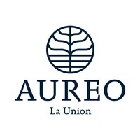 Aureo La Union logo - Similar company to Yapster E-Learning Inc.