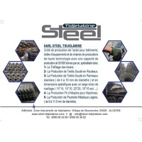 STEEL TIDJELABINE logo - Similar company to Cad-Experience