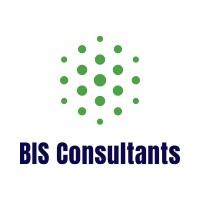 BIS Consultants LLC logo - Similar company to Northstar Engitech Solutions Private Limited