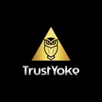 TrustYoke logo - Similar company to Options Online World