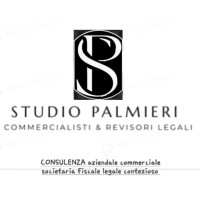 STUDIO PALMIERI Commercialisti Revisori Legali Conti Avvocati Mediatori Civili Comm.li logo - Similar company to Studio Kn - Marco Capellini E Gianluca Negro - Dottori Commercialisti E Revisori Legali Associati