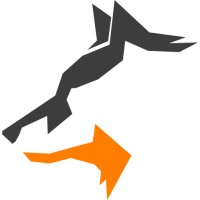 CloudWolf logo - Similar company to Pierian Training