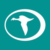 Teal Construction Company logo - Similar company to Byrd Interior Construction, Lp