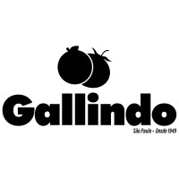 COMERCIAL IMP. & EXP. GALLINDO DE HORTIFRUTTI LTDA. logo - Similar company to Sadat Engineering