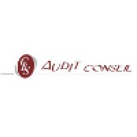 Cls Audit Conseil