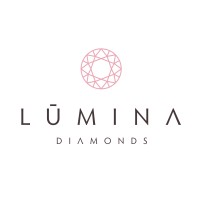 Lumina Diamonds logo - Similar company to Nomination S.R.L.