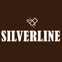 Silverline logo - Similar company to Biryani One