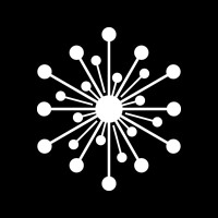 Neuronic Eye logo - Similar company to Eagleverse