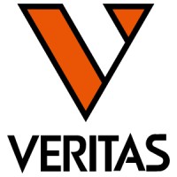 株式会社ベリタス (Veritas Corporation) logo - Similar company to Taimatsu株式会社