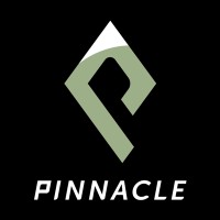 Pinnacle Fitness logo - Similar company to First Nurture International