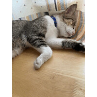 NA logo - Similar company to Asep Industries