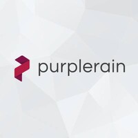 PurpleRain Technologies Inc. logo - Similar company to Purplerain Techsafe.