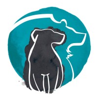 Bear Marketing logo - Similar company to Thecall - Services Provider & Business Solutions