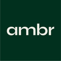 ambr motion logo - Similar company to Rando Bando