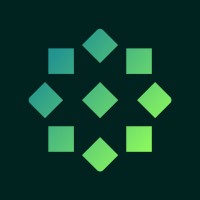 NetMint logo - Similar company to Integra Quality Software