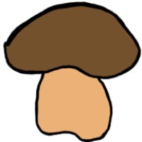 Porcini AB logo - Similar company to Lion'S Mane Beard Products
