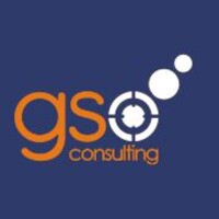 GSO Consulting logo - Similar company to Elaxi - Information Security