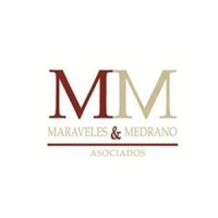MARAVELES & MEDRANO ASOCIADOS logo - Similar company to E-Makers