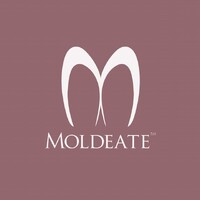 Moldeate logo - Similar company to Rextent