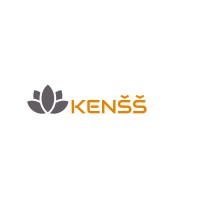 Kenss Solutions logo - Similar company to Abhinav Soft Solutions