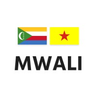 MWALI INTERNATIONAL SERVICES AUTHORITY logo - Similar company to Konaba