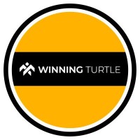 Winning Turtle Bank Nifty Tips logo - Similar company to Datadetective
