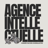 Agence Intellectuelle logo - Similar company to Hosted Studio