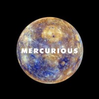 Mercurious Global logo - Similar company to Ip3