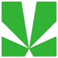 Point of View Story logo - Similar company to Markland Group