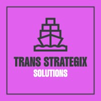 TransStrategix Solutions Group, LLC logo - Similar company to Warehouse Ladders