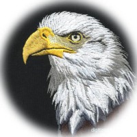 Godeagle International Co., Ltd logo - Similar company to Thanet Plastics Ltd